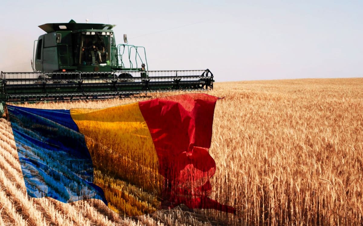 Cine sunt cei mai mari latifundiari din România în 2026. Top 10 al exploatațiilor agricole gigant