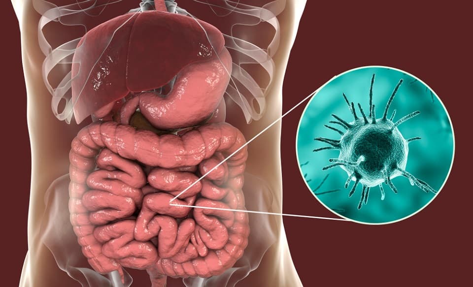 Cum să previi apariția paraziților intestinali