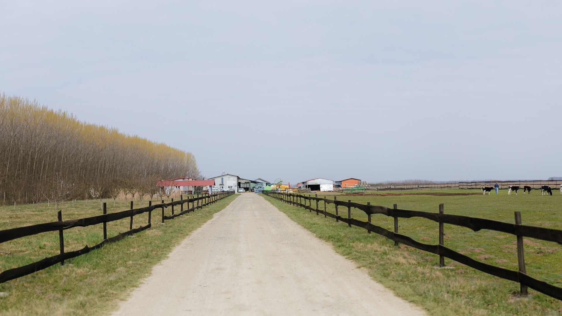 O fermă din Odoreu arată cum tehnologia poate schimba viața din zootehnie
