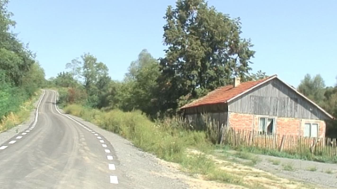 Adie un vânt de reformă dinspre Cotroceni. Reorganizarea județelor, „prioritate zero”