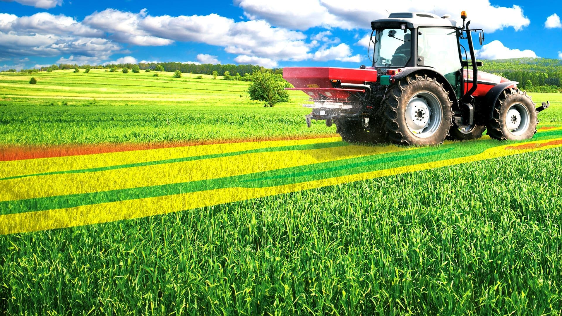 Fermierii cer o revoluție în agricultura României: mai puține despăgubiri, mai multe irigații și fabrici
